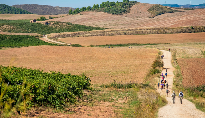 Organizar Camino de Santiago 2025: rutas del Camino de Santiago. Foto de Burkard Meyendriesch.