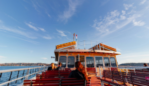 Visita Islas Cies desde Vigo: cuando se pueden visitar las Islas Cies. Foto de Joshua Tsu.